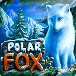 Polar Fox